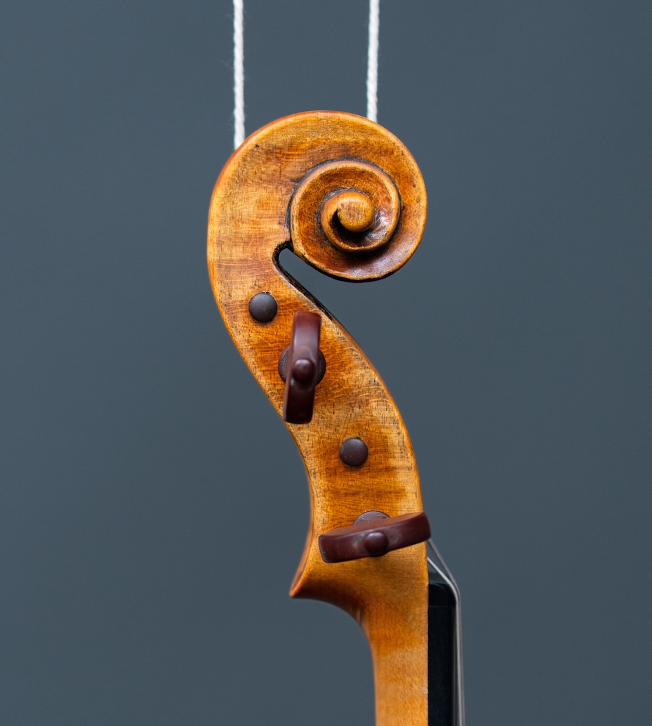 Violin Headstock Back View